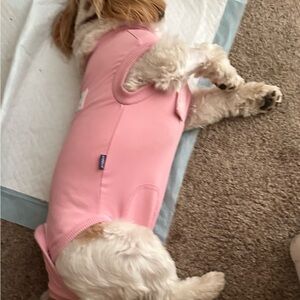 EUC Post Surgery Female Pink One Piece Recovery Suit